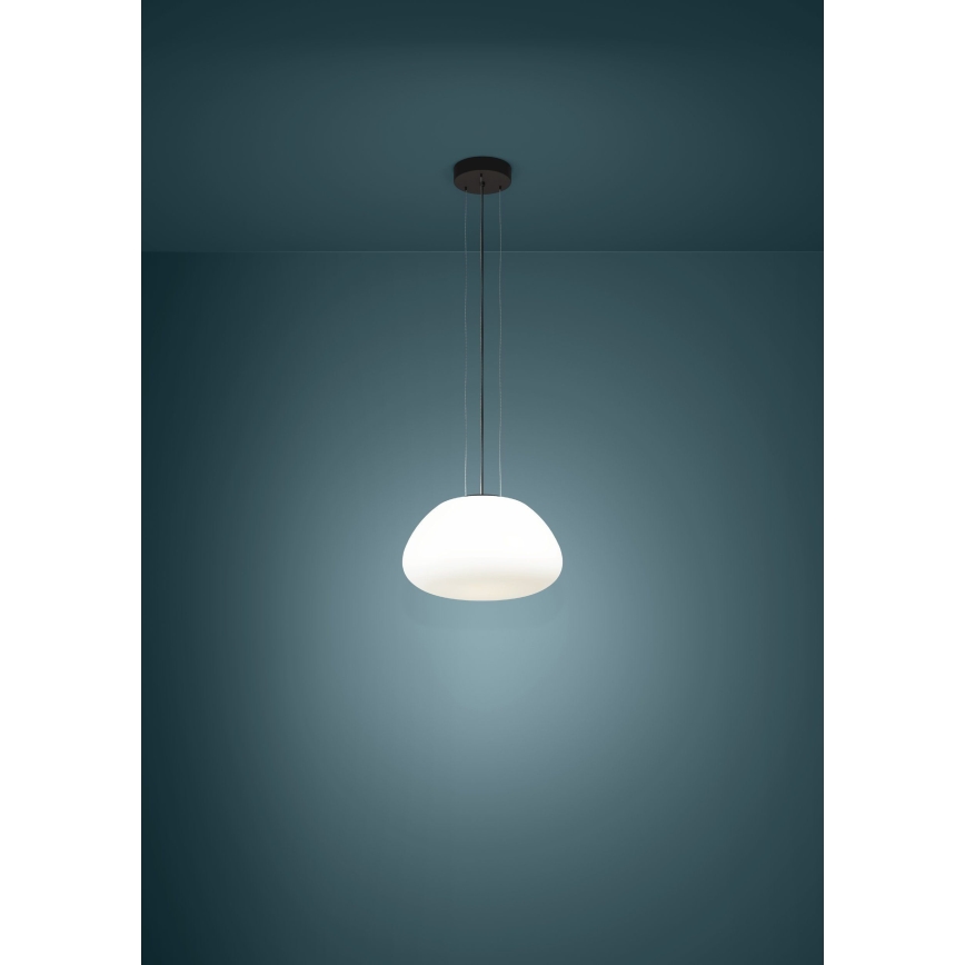 Eglo - Chandelier on a string 1xE27/40W/230V black