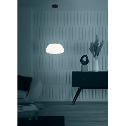 Eglo - Chandelier on a string 1xE27/40W/230V black