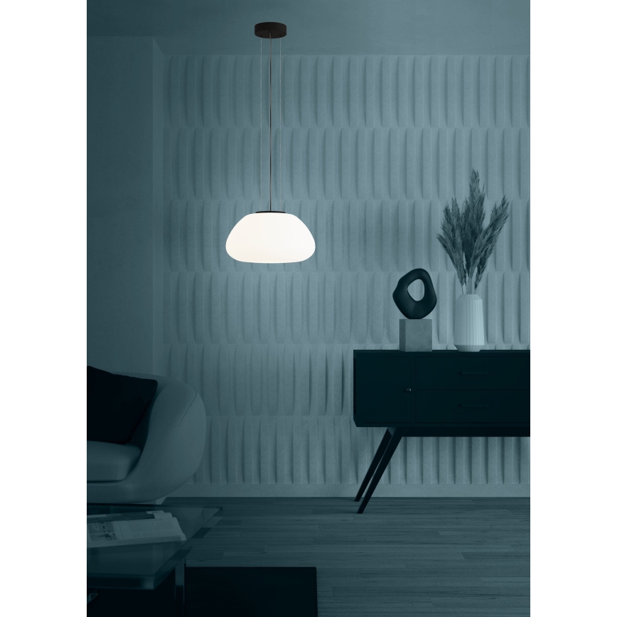 Eglo - Chandelier on a string 1xE27/40W/230V black