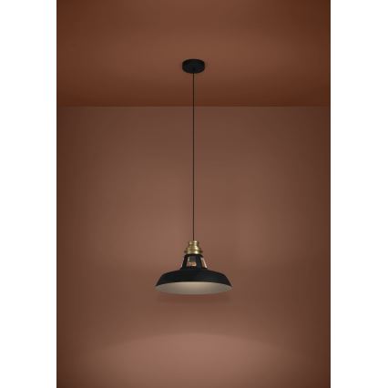 Eglo - Chandelier on a string 1xE27/40W/230V black/gold