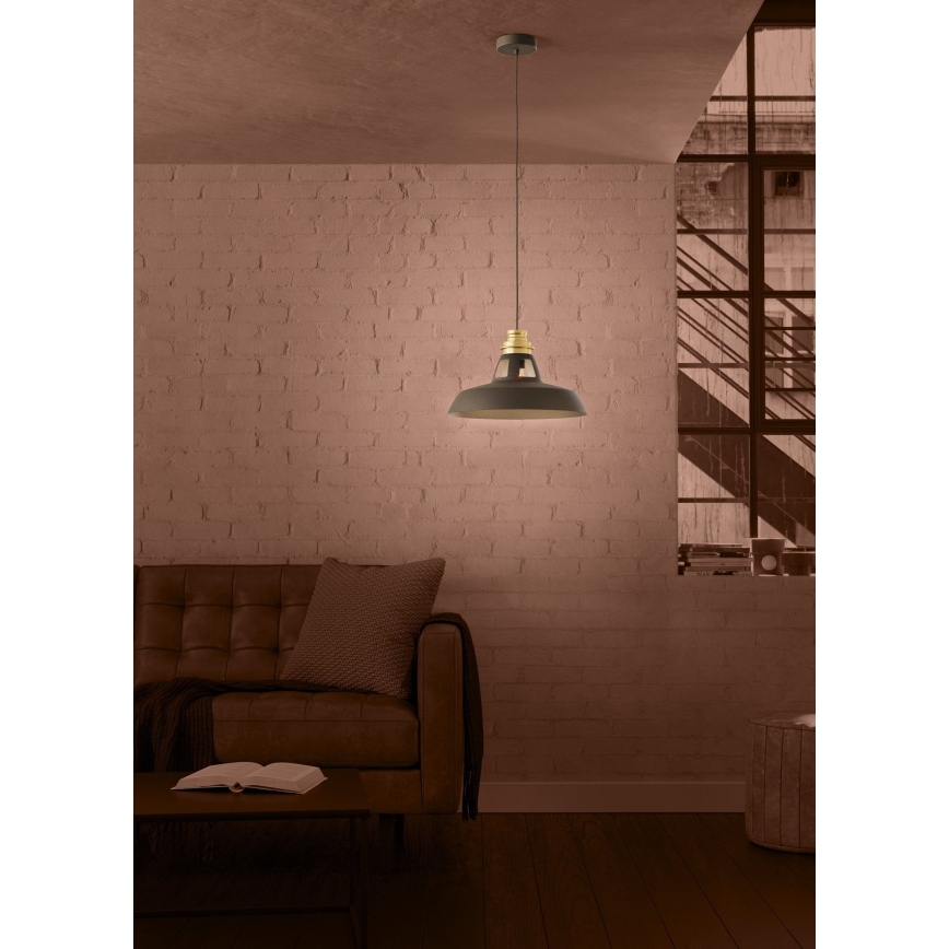 Eglo - Chandelier on a string 1xE27/40W/230V black/gold