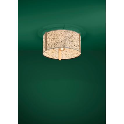Eglo - Ceiling light 1xE27/25W/230V beige