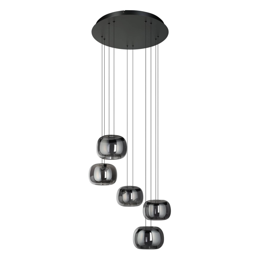 Eglo - Dimmable LED pendant on cable 5xLED/5.8W/230V black/smoked