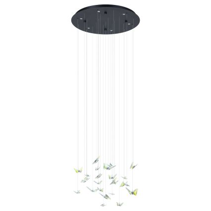 Eglo - LED Dimmable Cable Pendant Light 6xLED/4.2W/230V black/clear
