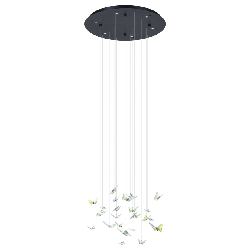 Eglo - LED Dimmable Cable Pendant Light 6xLED/4.2W/230V black/clear