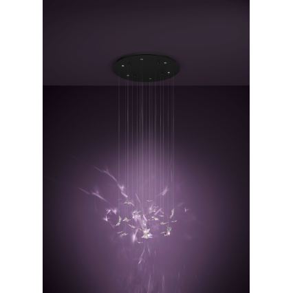 Eglo - LED Dimmable Cable Pendant Light 6xLED/4.2W/230V black/clear