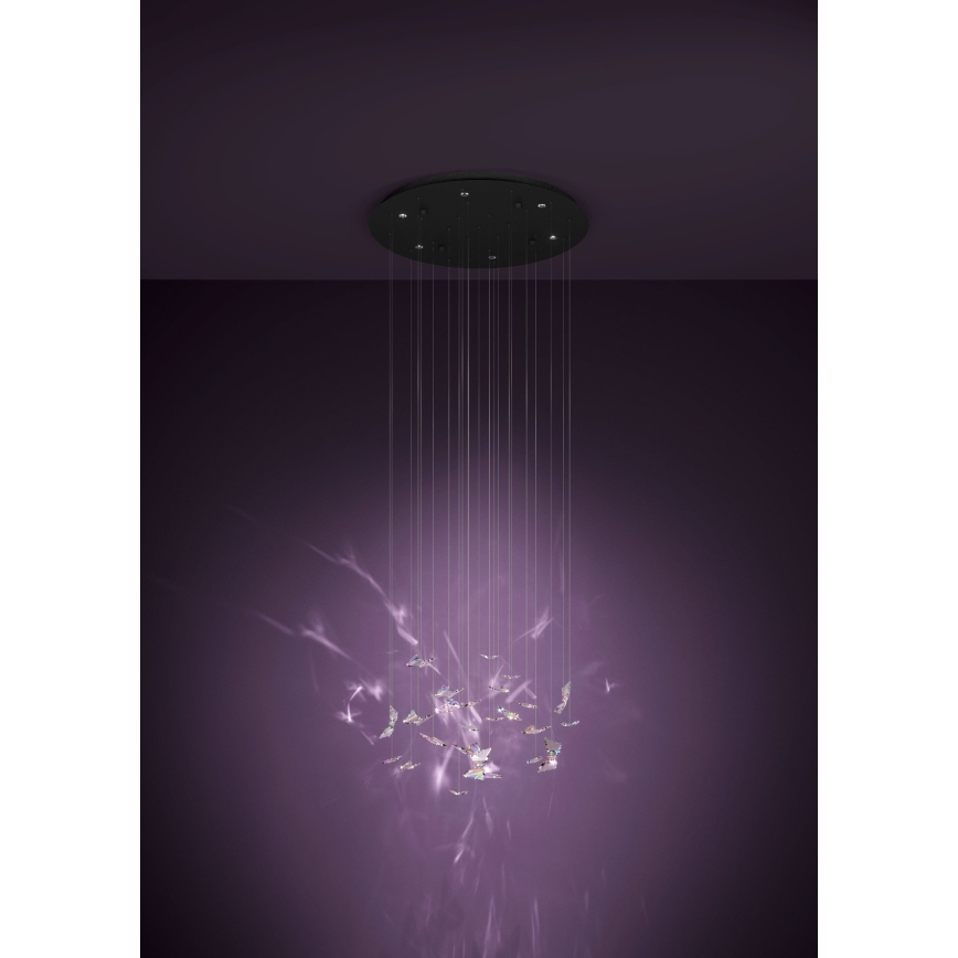 Eglo - LED Dimmable Cable Pendant Light 6xLED/4.2W/230V black/clear