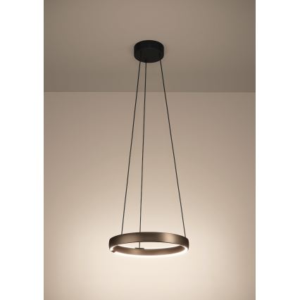Eglo Stars of Light - LED Dimmable Pendant on Cable with Motion Sensor 2×LED/25W/230V 2200–6500K Ø 80 cm Brown