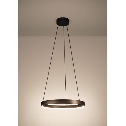 Eglo Stars of Light - Dimmable LED cable pendant with motion sensor, 2xLED/19W/230V, 2200-6500K, Ø 55 cm, brown