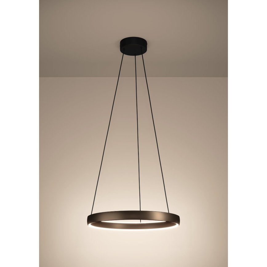 Eglo Stars of Light - Dimmable LED cable pendant with motion sensor, 2xLED/19W/230V, 2200-6500K, Ø 55 cm, brown