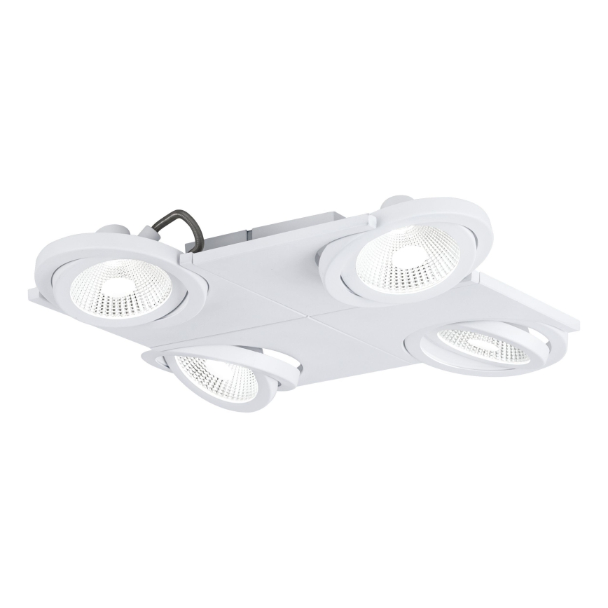 Eglo 39136 - LED spotlight BREA 4xLED/5W/230V/12V