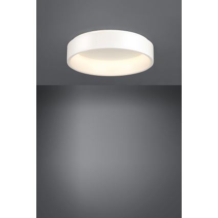 Eglo - LED Dimmable ceiling light 1 LED/35,2W/230V