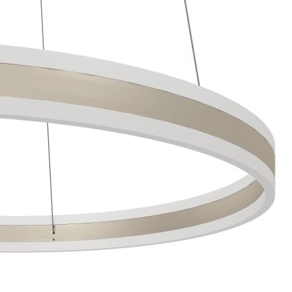 Eglo - LED Dimming chandelier on a string LED/78W/230V