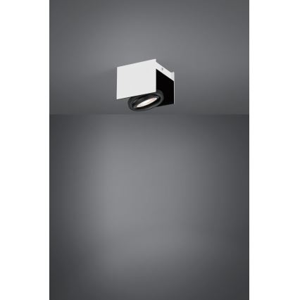 Eglo - LED Dimmable spotlight LED/5,4W/230V