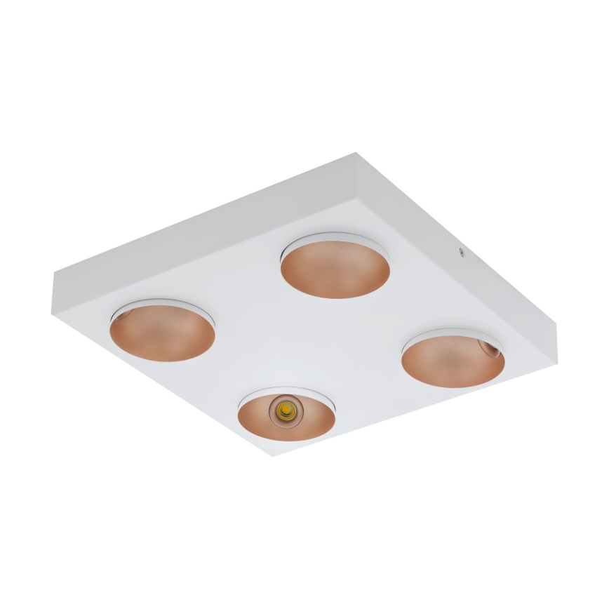 Eglo - LED Dimming ceiling light 4xLED/3,3W/230V