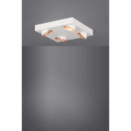 Eglo - LED Dimming ceiling light 4xLED/3,3W/230V