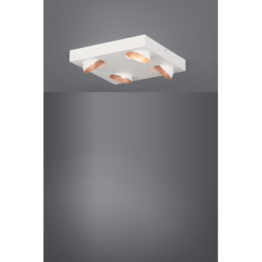 Eglo - LED Dimming ceiling light 4xLED/3,3W/230V