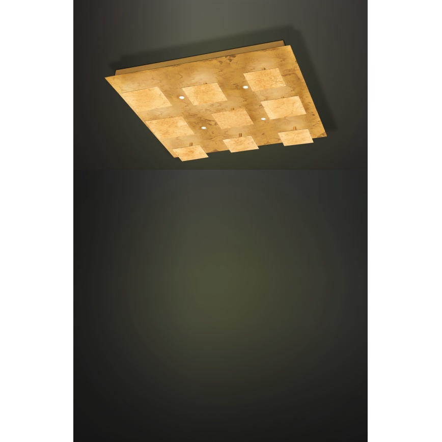 Eglo - LED Dimming light 4xLED/5,4W/230V + 9xLED/4,5W