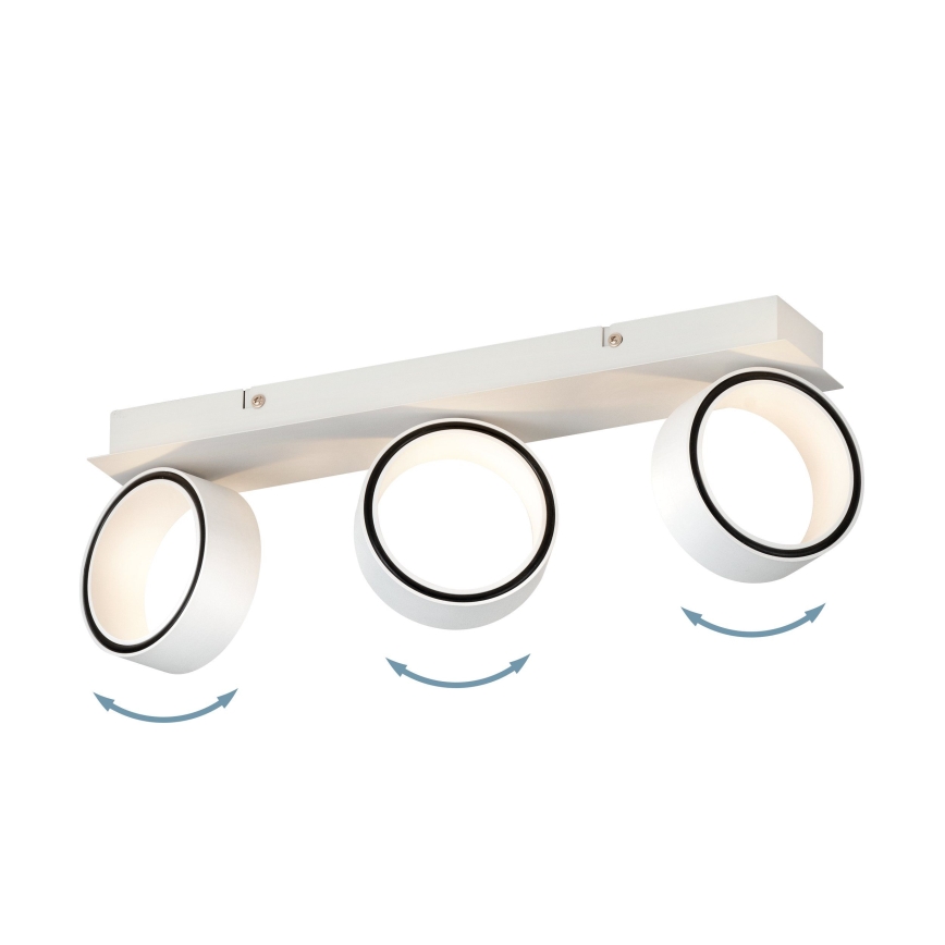 Eglo - LED Spotlight 3xLED/4,6W/230V 3000K