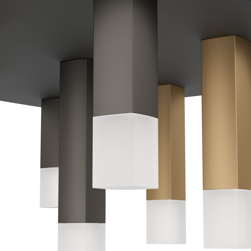 Eglo - LED Dimmable ceiling light 9xLED/3,1W/230V 3000K anthracite/gold