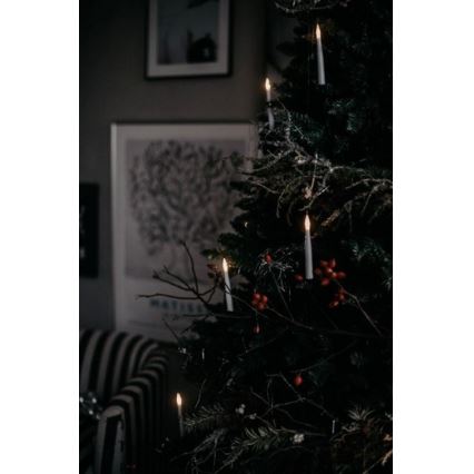 Eglo - Christmas tree 250 cm spruce