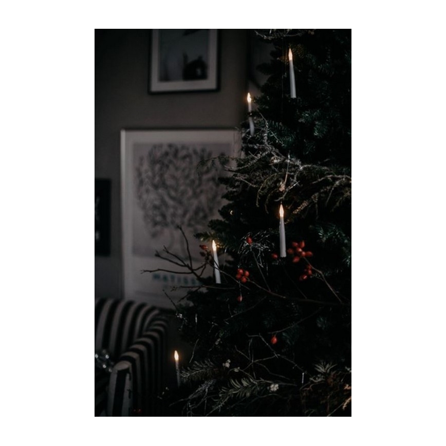 Eglo - Christmas tree 250 cm spruce