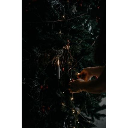 Eglo - Christmas tree 250 cm spruce