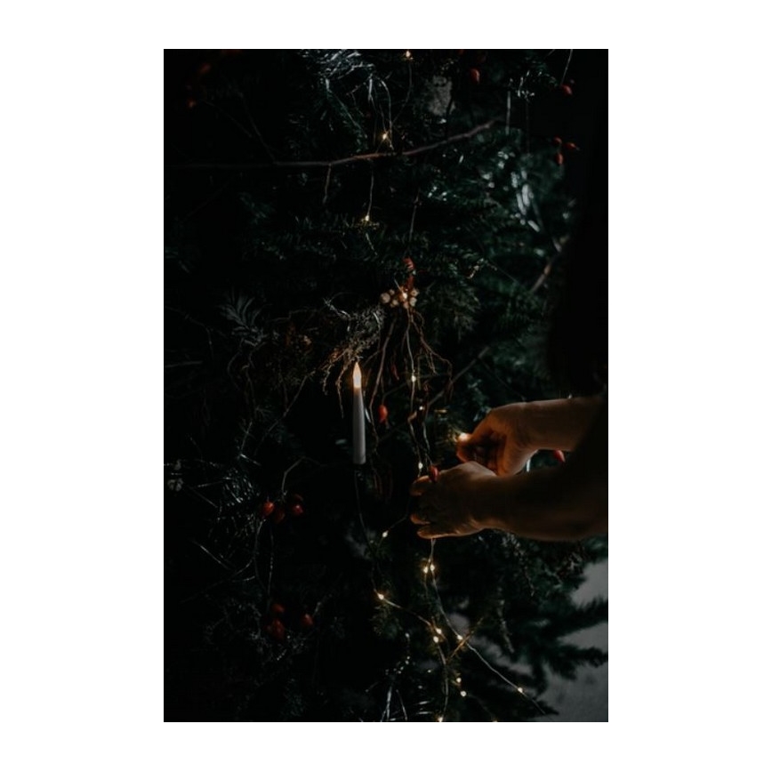 Eglo - Christmas tree 250 cm spruce