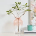 Eglo 421357 - KENYASI Glass Vase, 27 x 15.5 cm, Pink
