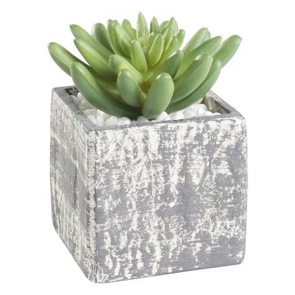 Eglo - Artificial plant in a flowerpot 12x7,5 cm succulent