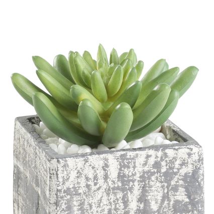 Eglo - Artificial plant in a flowerpot 12x7,5 cm succulent
