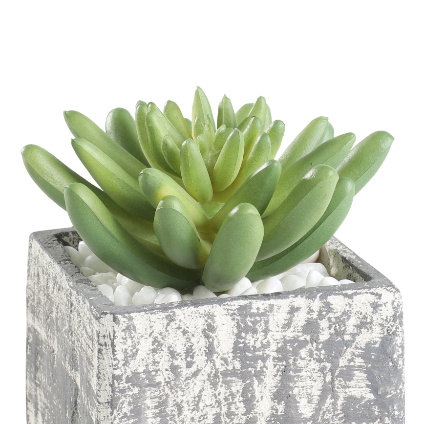 Eglo - Artificial plant in a flowerpot 12x7,5 cm succulent