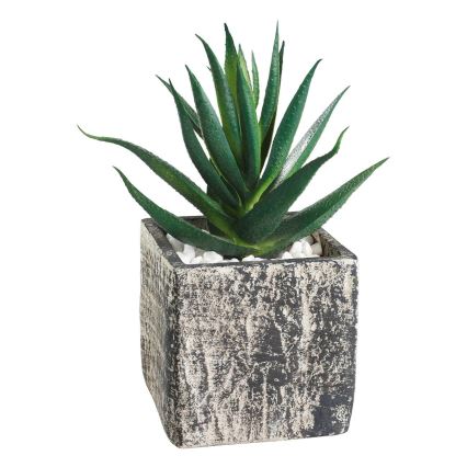Eglo - Artificial plant in a flowerpot 13x9,5 cm succulent