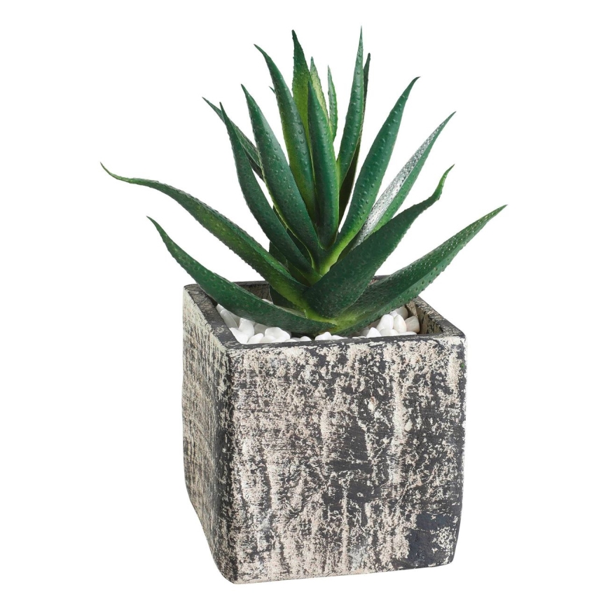 Eglo - Artificial plant in a flowerpot 13x9,5 cm succulent