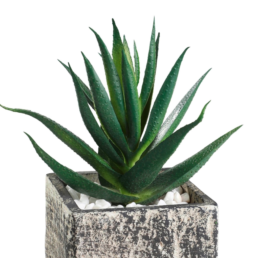 Eglo - Artificial plant in a flowerpot 13x9,5 cm succulent