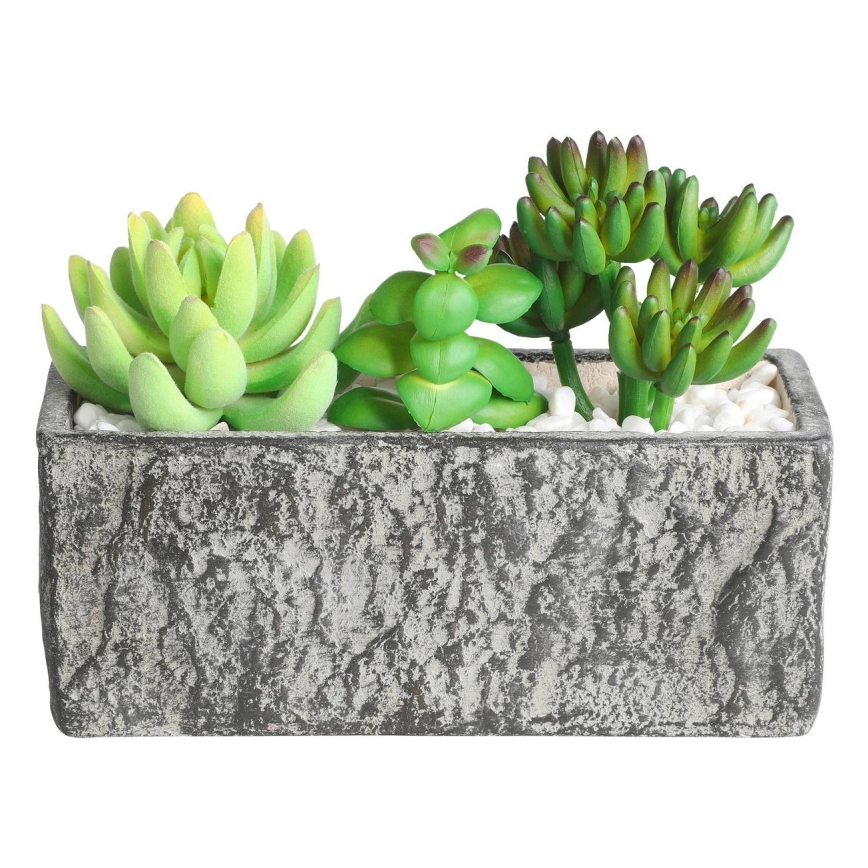 Eglo - Artificial plant in a flowerpot 14,5x17,8 cm succulent