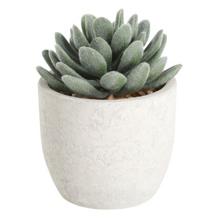 Eglo - Artificial plant in a flowerpot 11x8 cm succulent