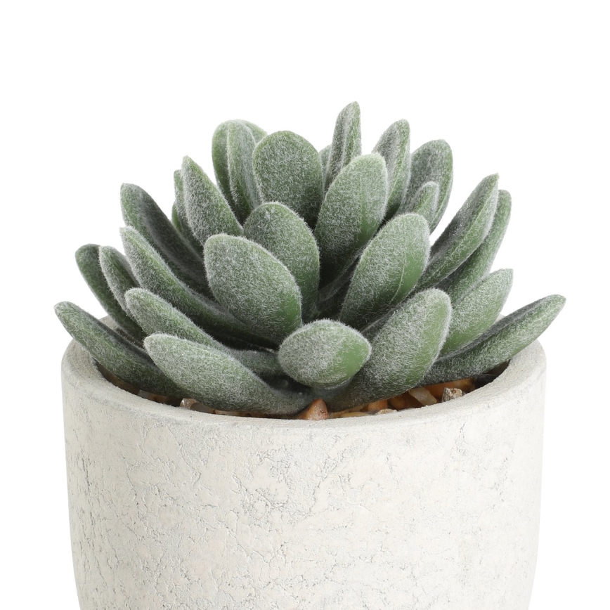 Eglo - Artificial plant in a flowerpot 11x8 cm succulent