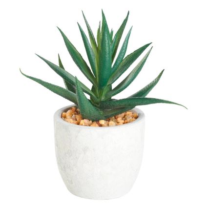 Eglo - Artificial plant in a flowerpot 15,5x10 cm succulent