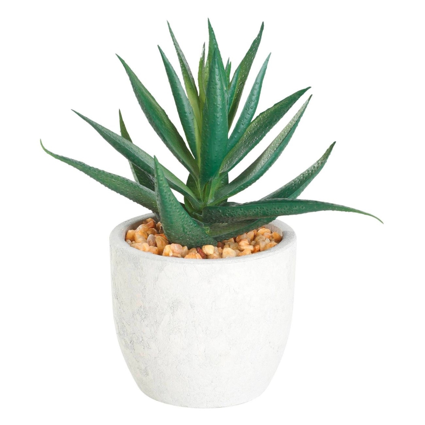 Eglo - Artificial plant in a flowerpot 15,5x10 cm succulent