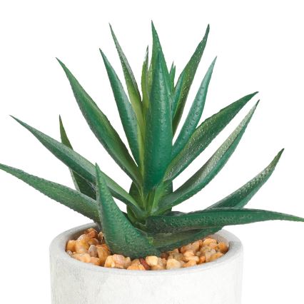 Eglo - Artificial plant in a flowerpot 15,5x10 cm succulent