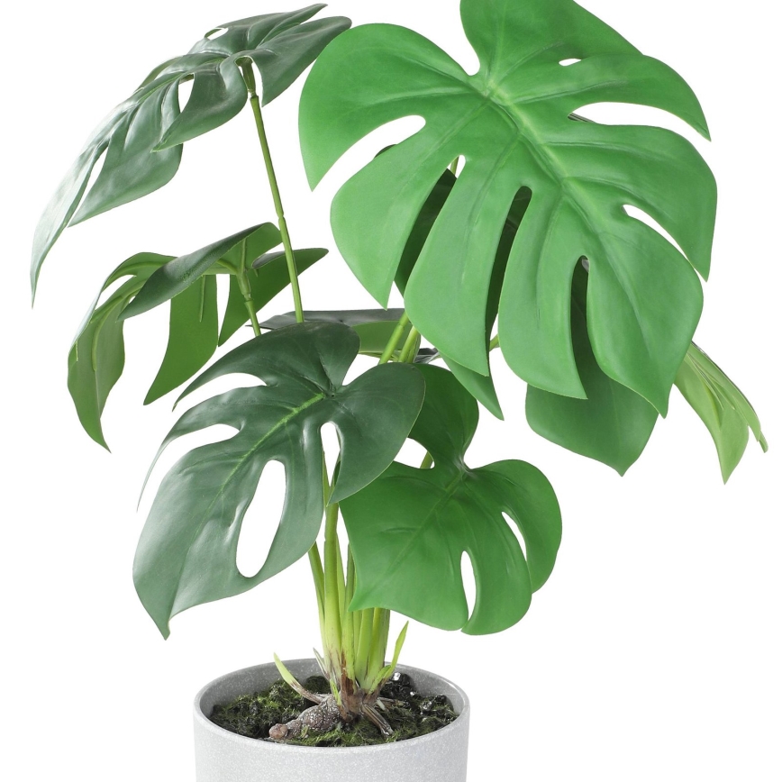 Eglo - Artificial plant in a flowerpot 42x30 cm monstera