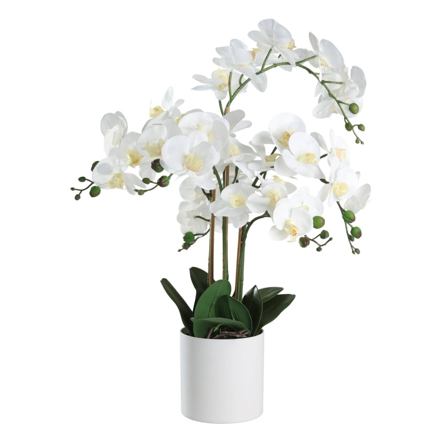 Eglo - Artificial plant in a flowerpot 65x50 cm orchid