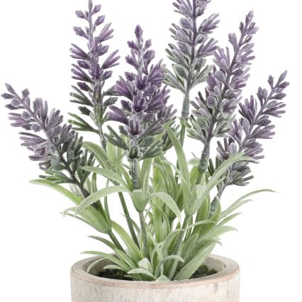 Eglo - Artificial plant in a flowerpot 22x8 cm lavender