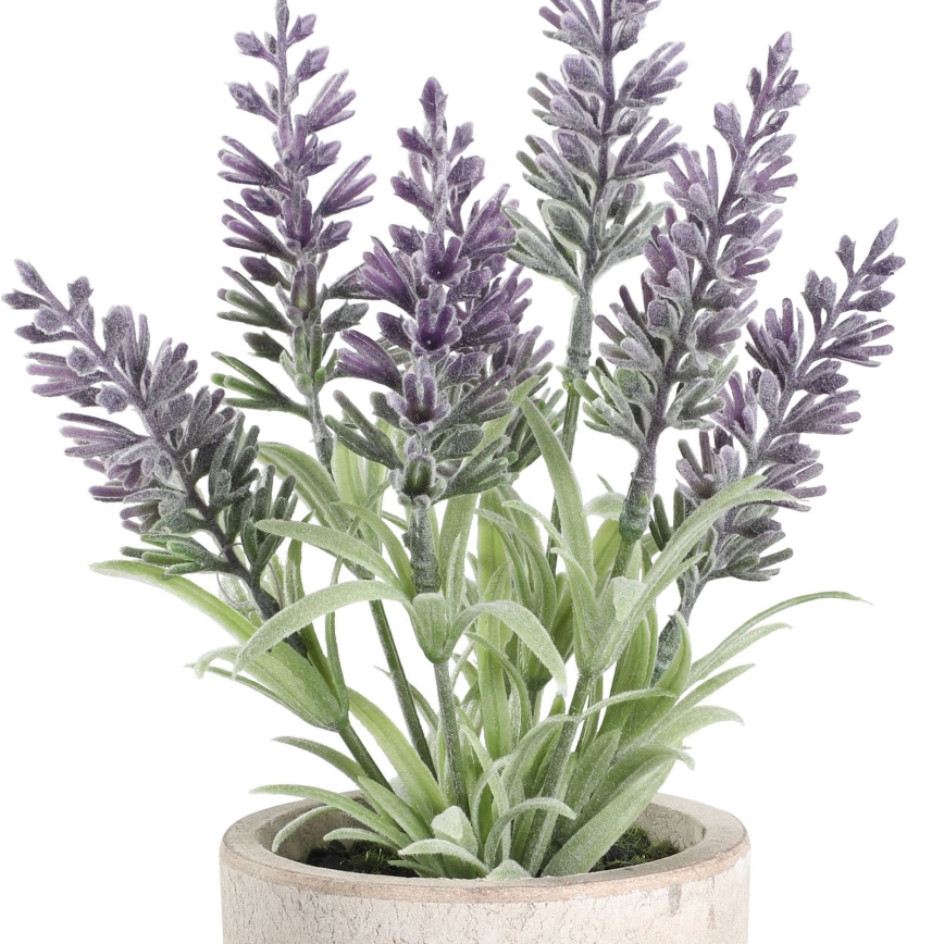Eglo - Artificial plant in a flowerpot 22x8 cm lavender