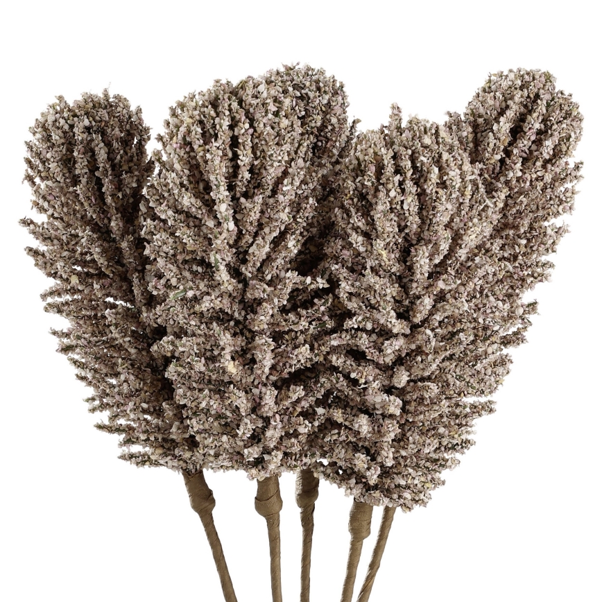 Eglo - Artificial flower 30 cm beige