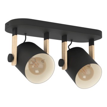 Eglo 43557 - HORNWOOD spotlight 2x E27/28W/230V, black