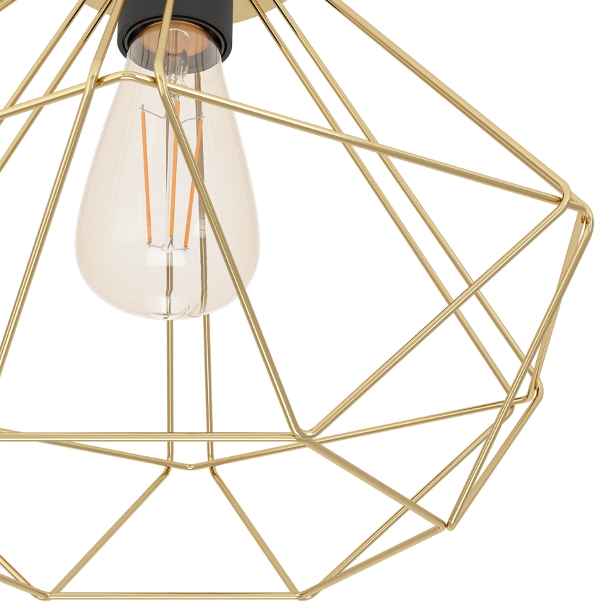 Eglo - Ceiling light 1xE27/60W/230V