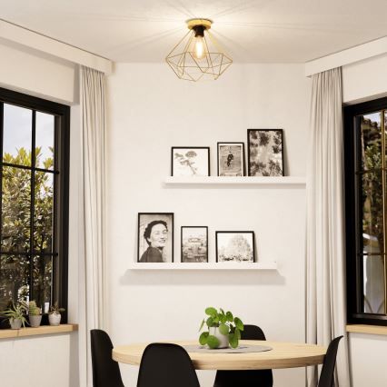 Eglo - Ceiling light 1xE27/60W/230V