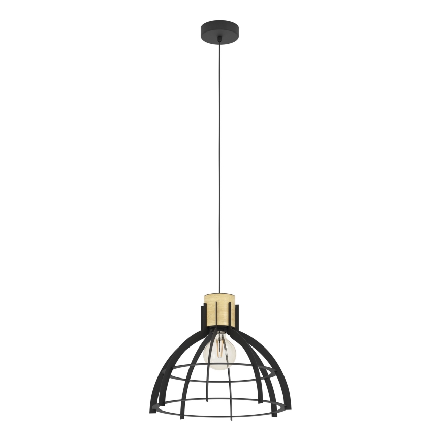 Eglo - Chandelier on a string 1xE27/40W/230V black
